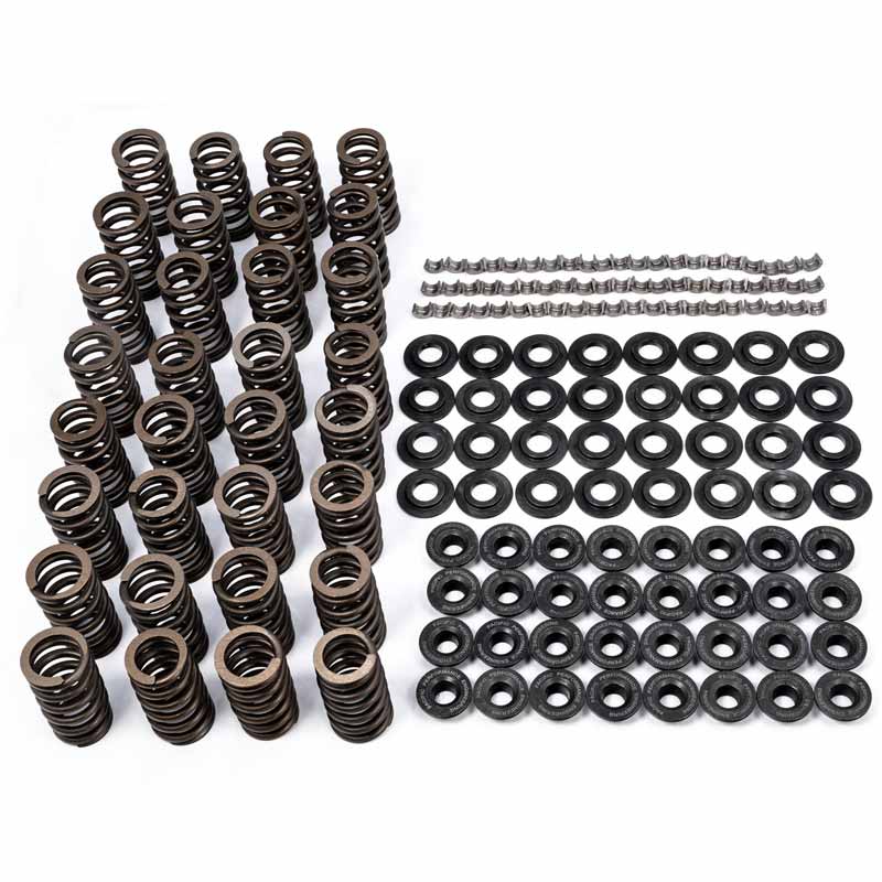 PPE 110090050 VALVE SPRING KIT